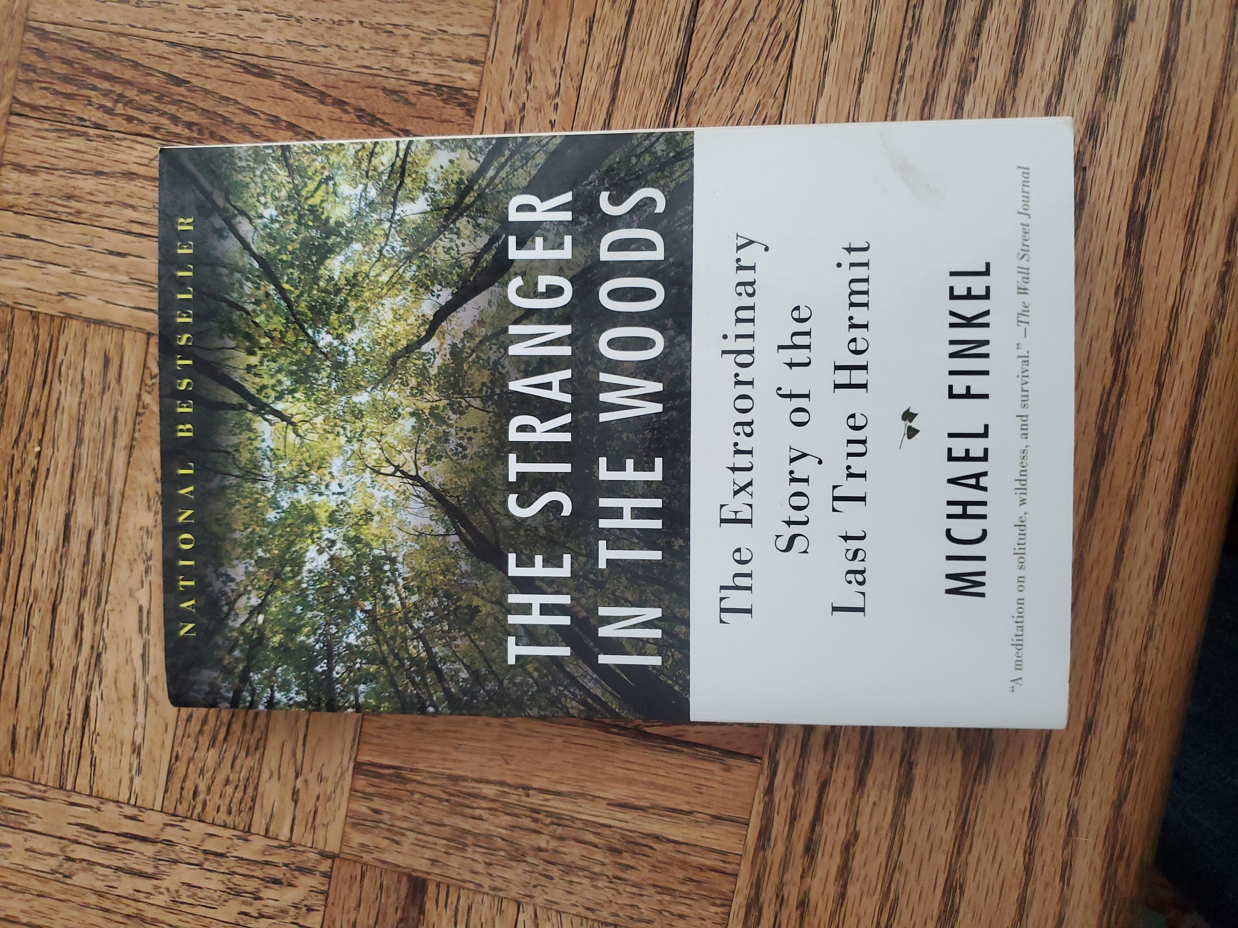 The Stranger in the Woods