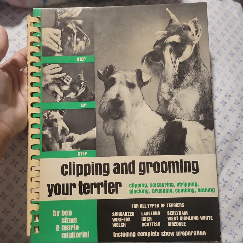 Clipping and Grooming your terrier