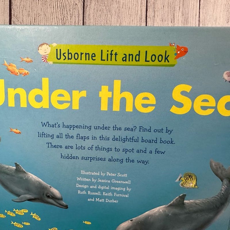 Under the Sea Lift and Look