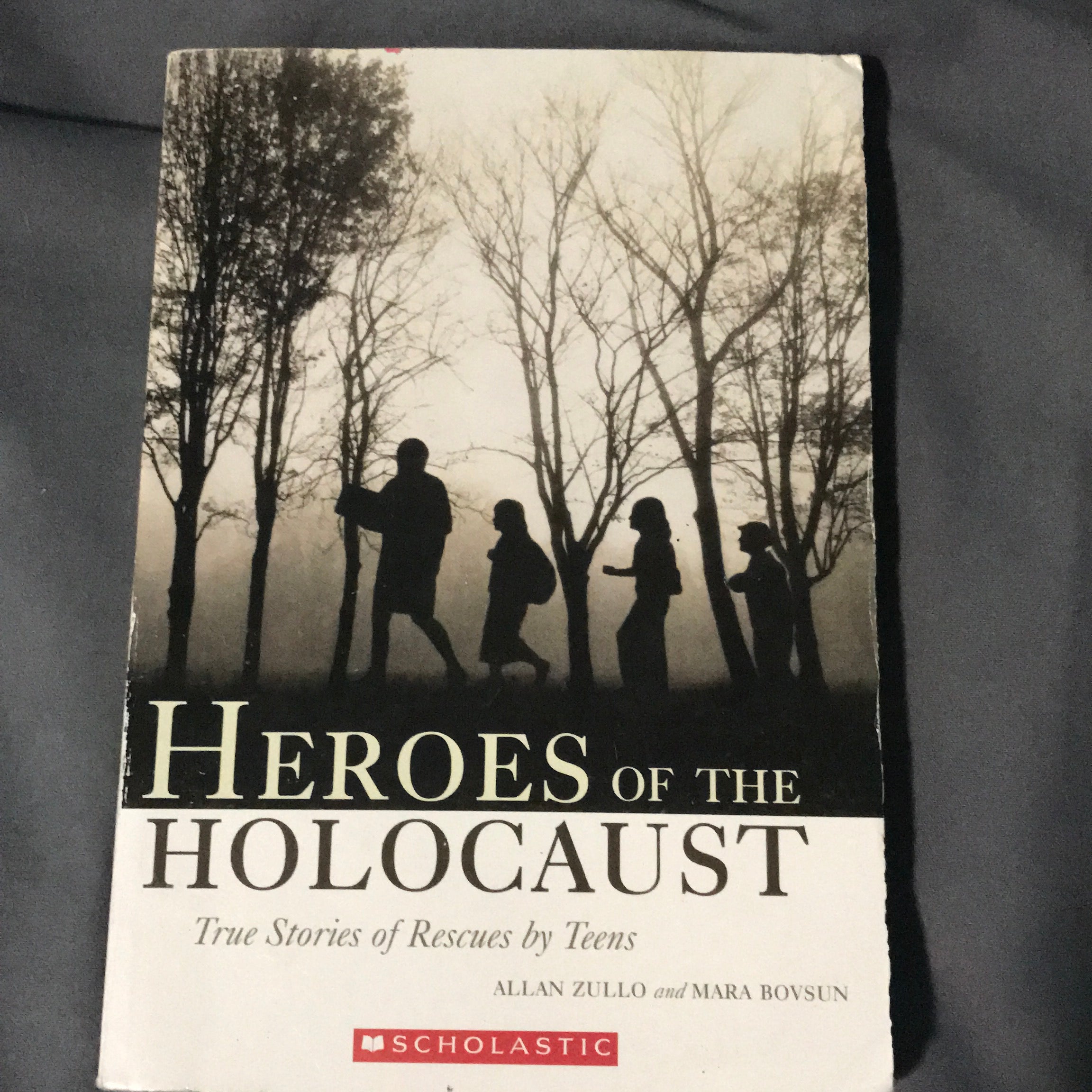 Heroes of the Holocaust