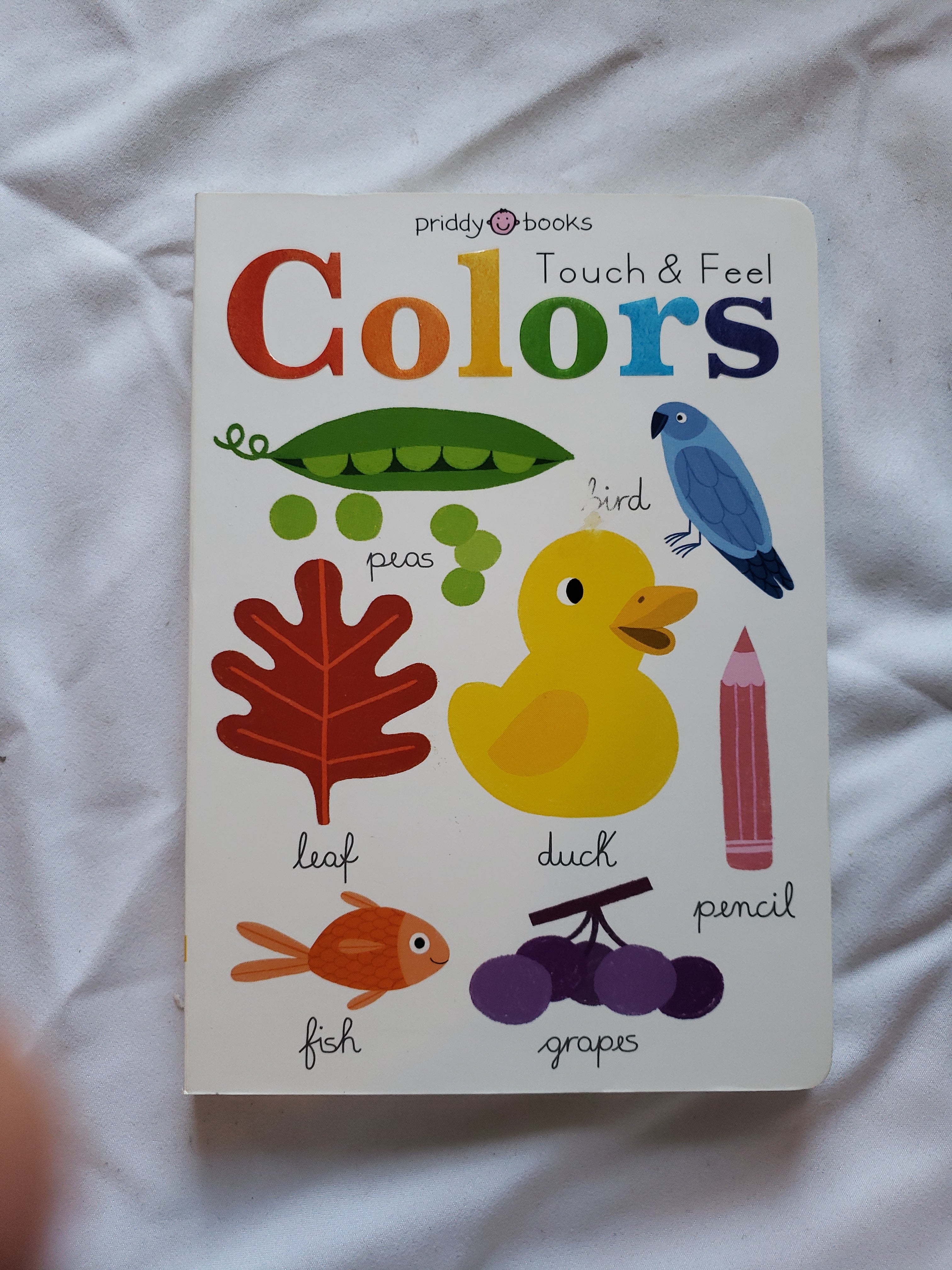 Learn and Explore: Touch and Feel Colors