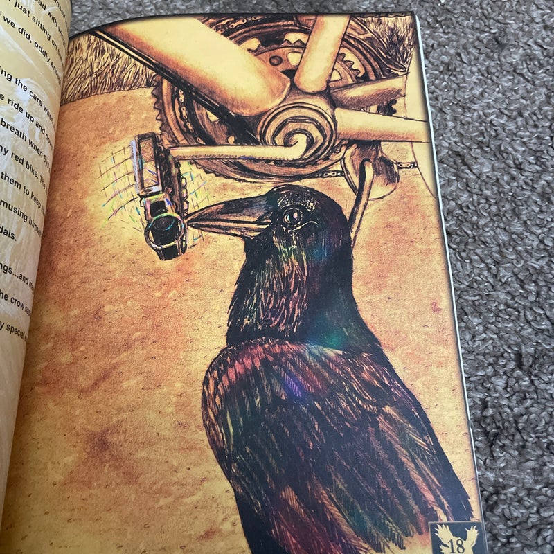 Syd, the Crow