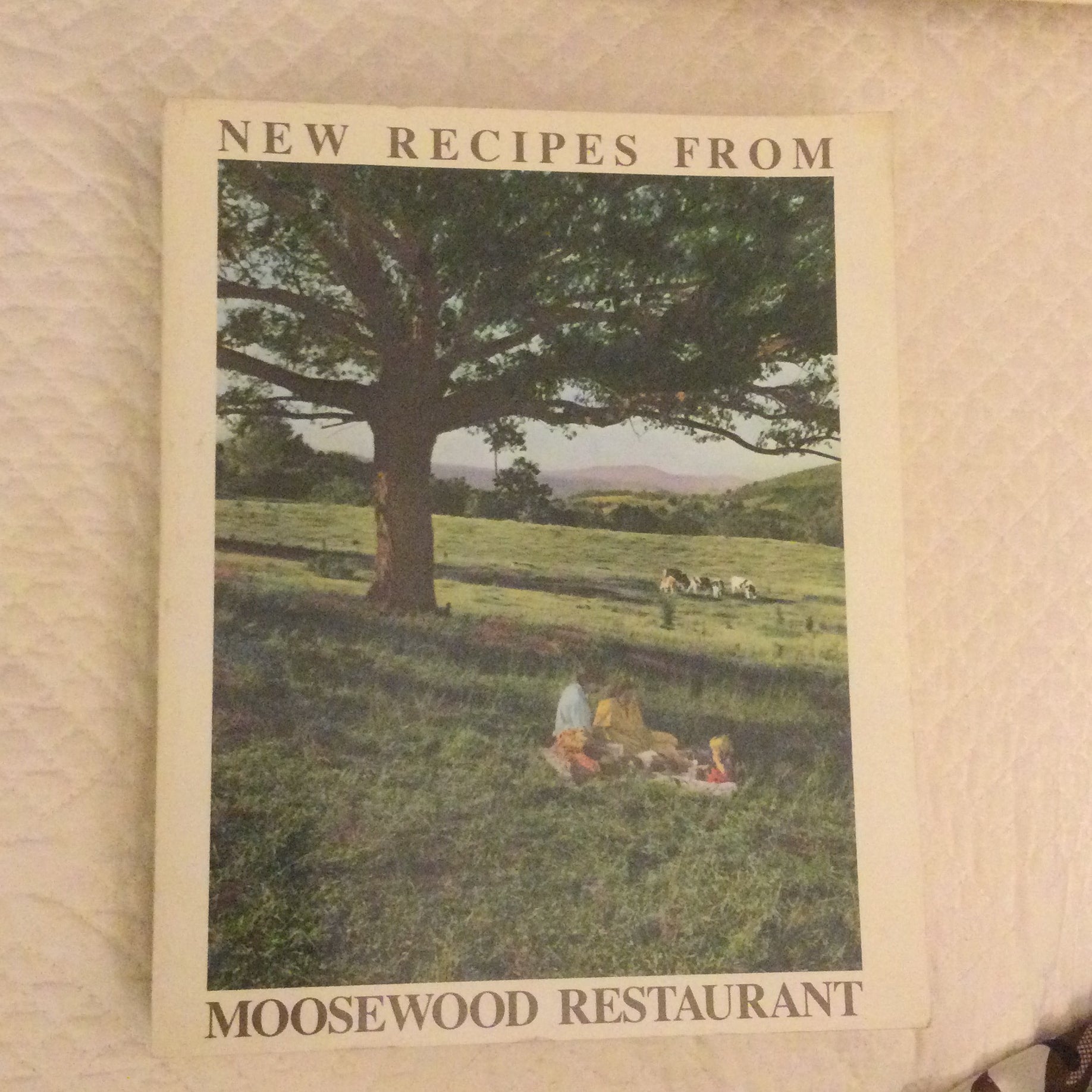 New Recipes from Moosewood Restaurant