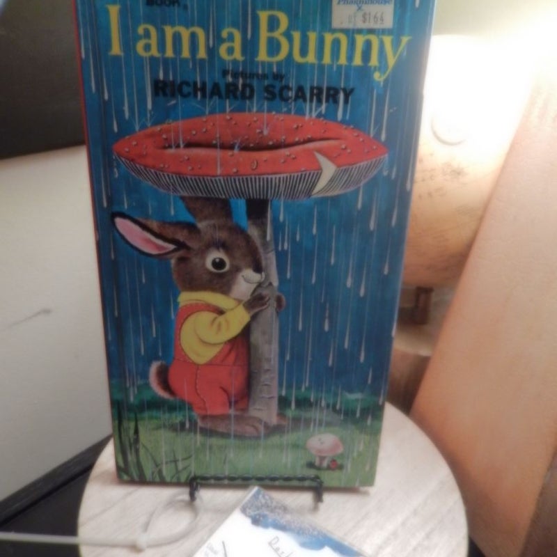 I am a Bunny 