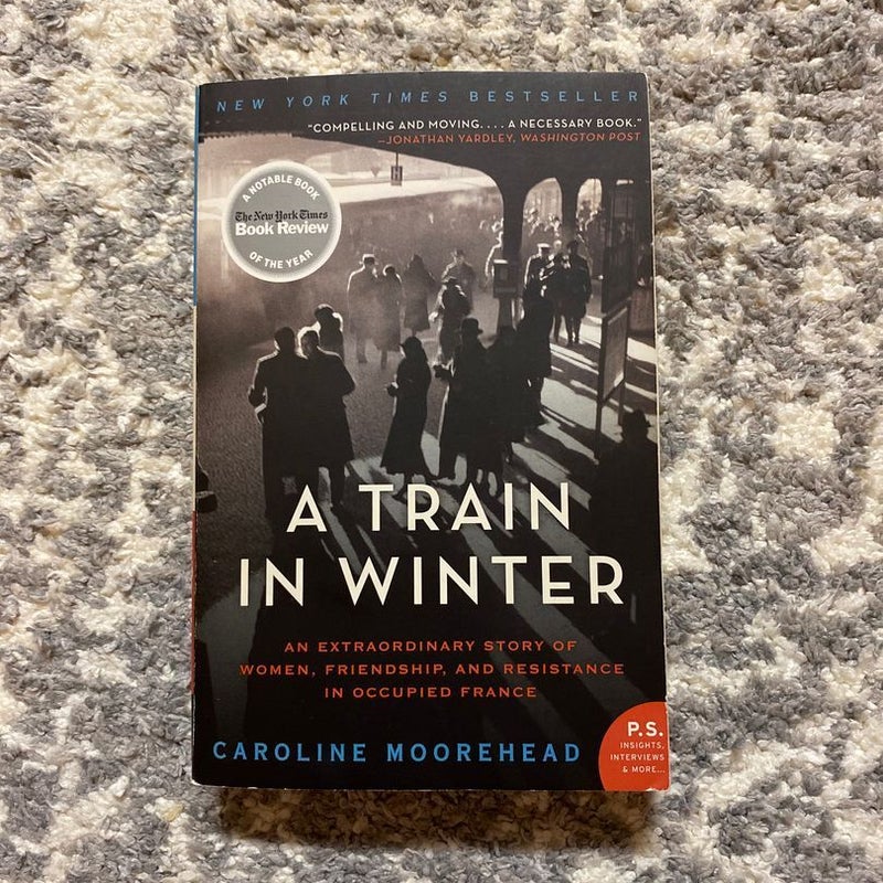 A Train in Winter