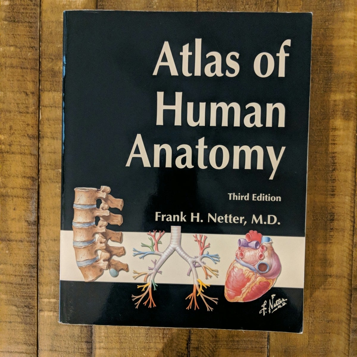 Atlas of Human Anatomy