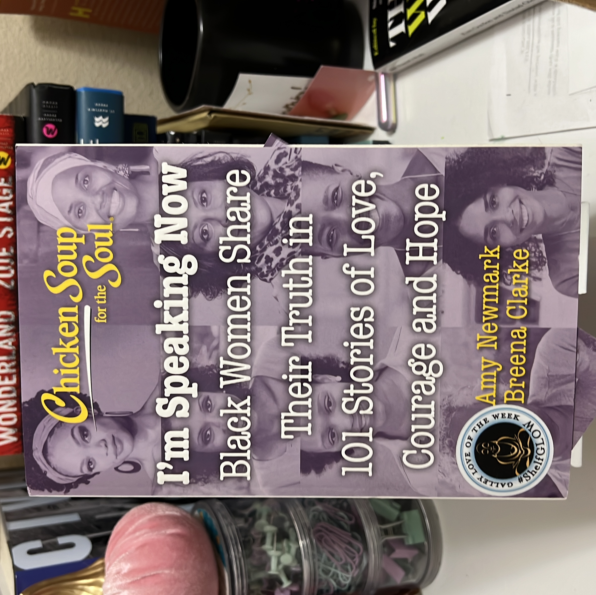 Chicken Soup for the Soul: I'm Speaking Now