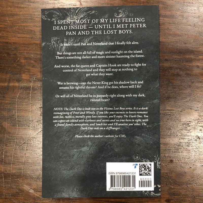 The Never King, Vicious Lost Boys books 1-3
