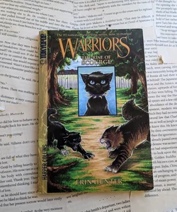  Warriors: The Rise of Scourge (Warriors Manga): 9780063351745:  Hunter, Erin, Kurkoski, Bettina M., Weires, Danielle: Books