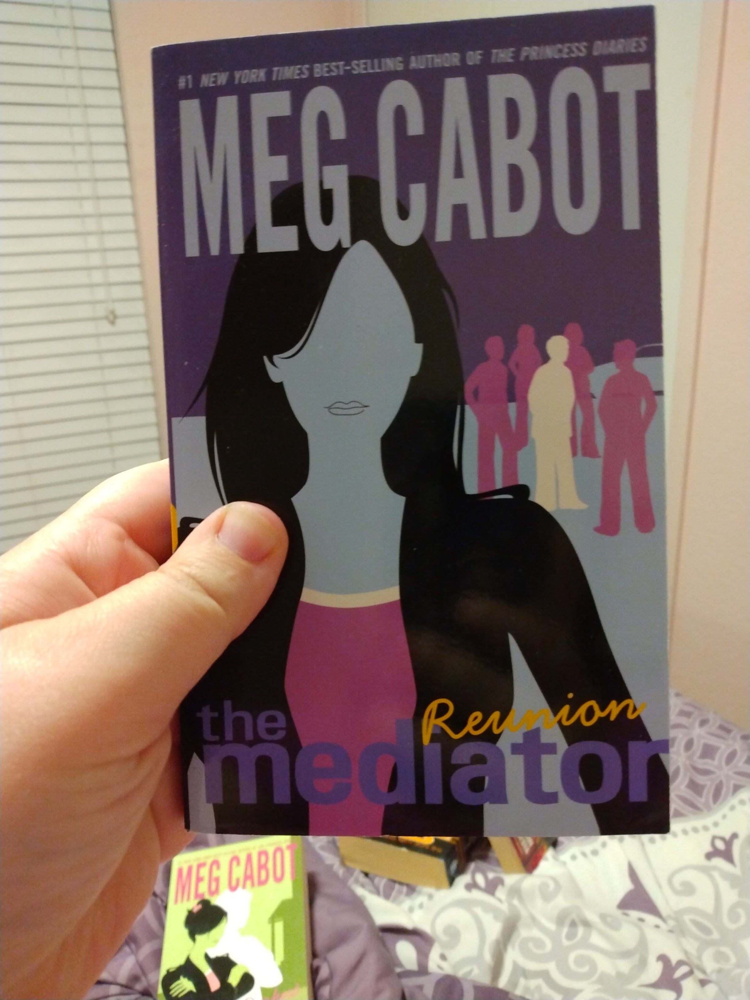 The Mediator #3: Reunion