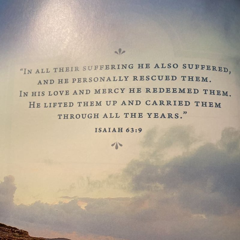 Beyond Suffering Bible by Joni Eareckson Tada, Paperback | Pango Books