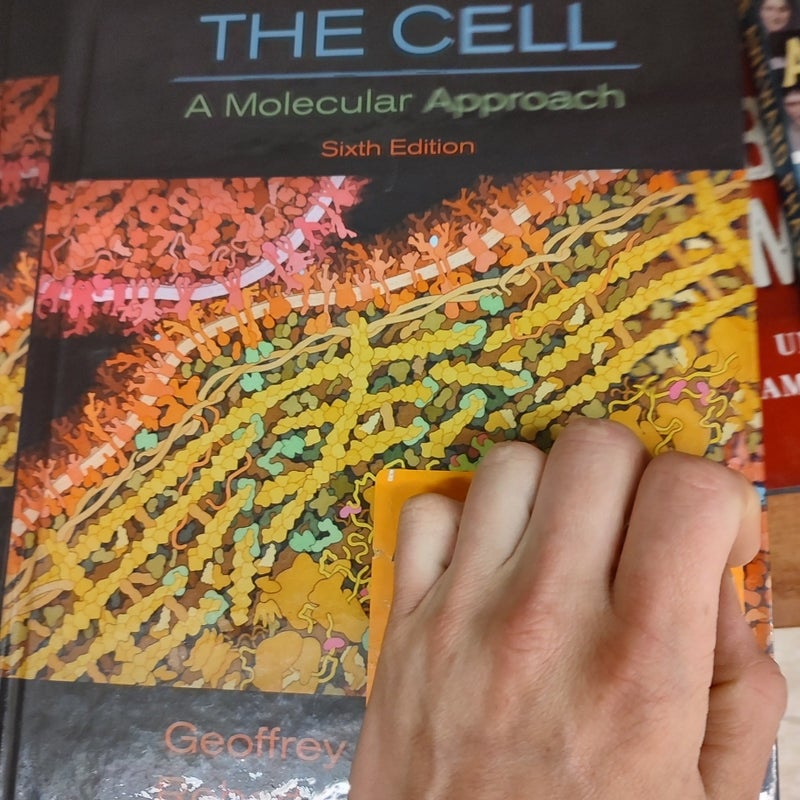 The Cell