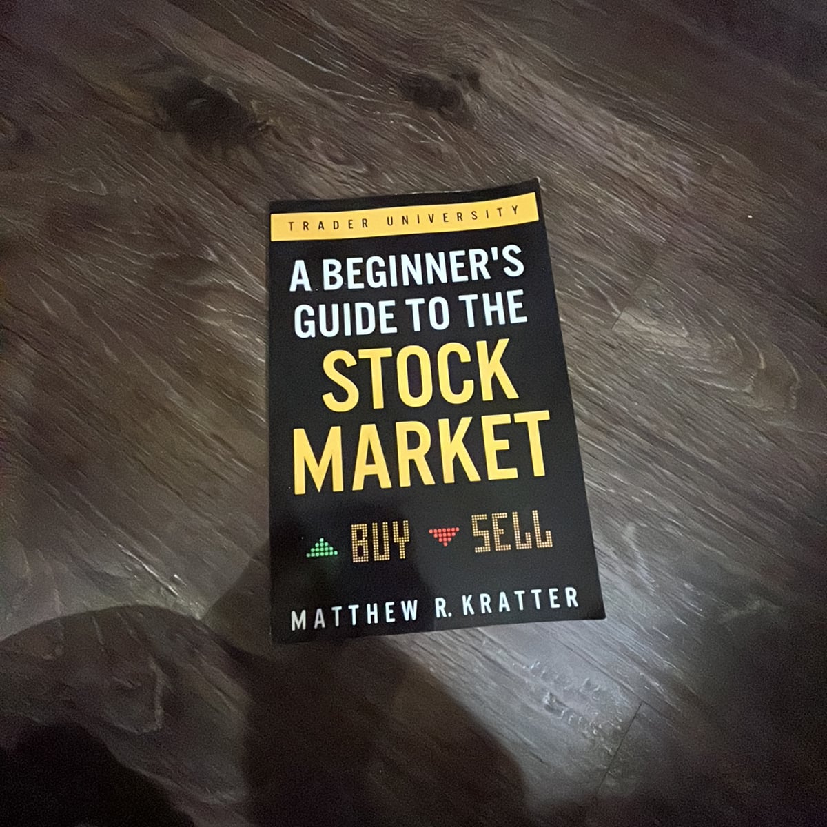 A Beginner's Guide to the Stock Market