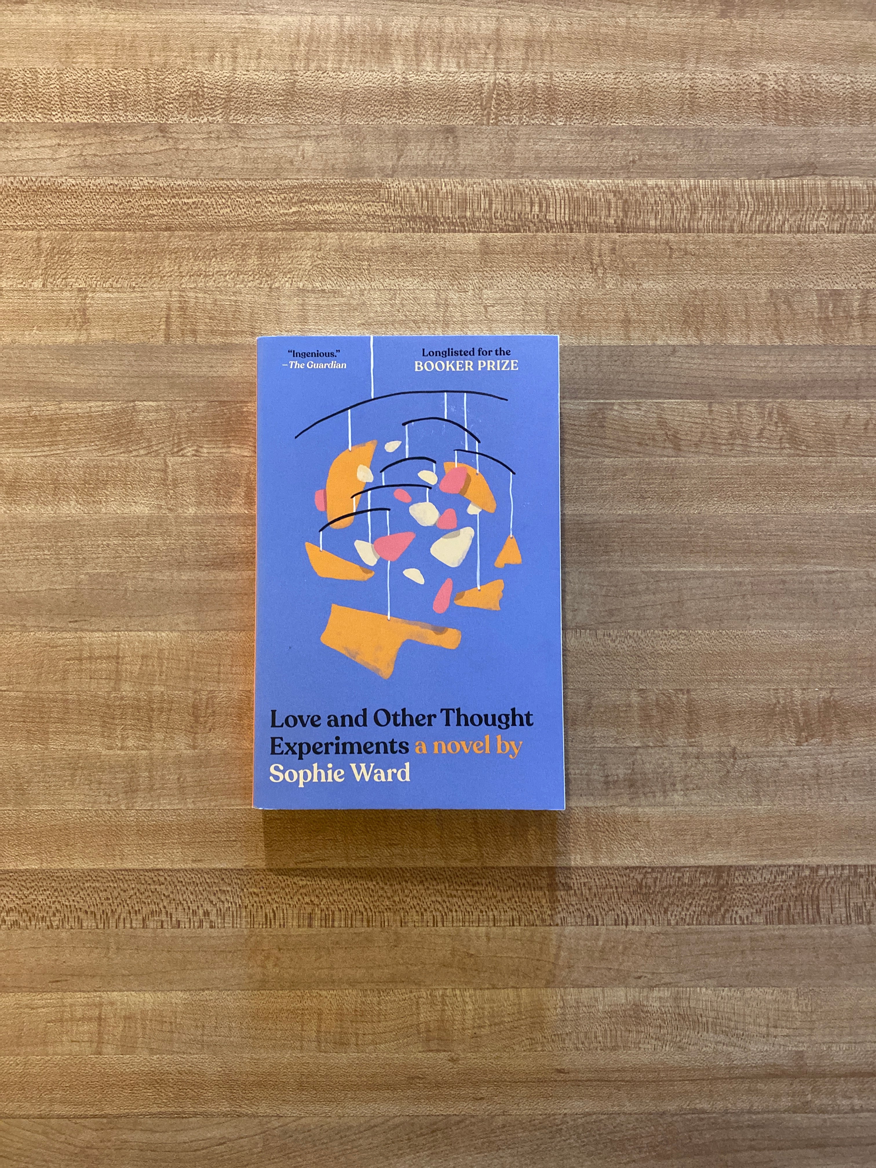 Love and Other Thought Experiments