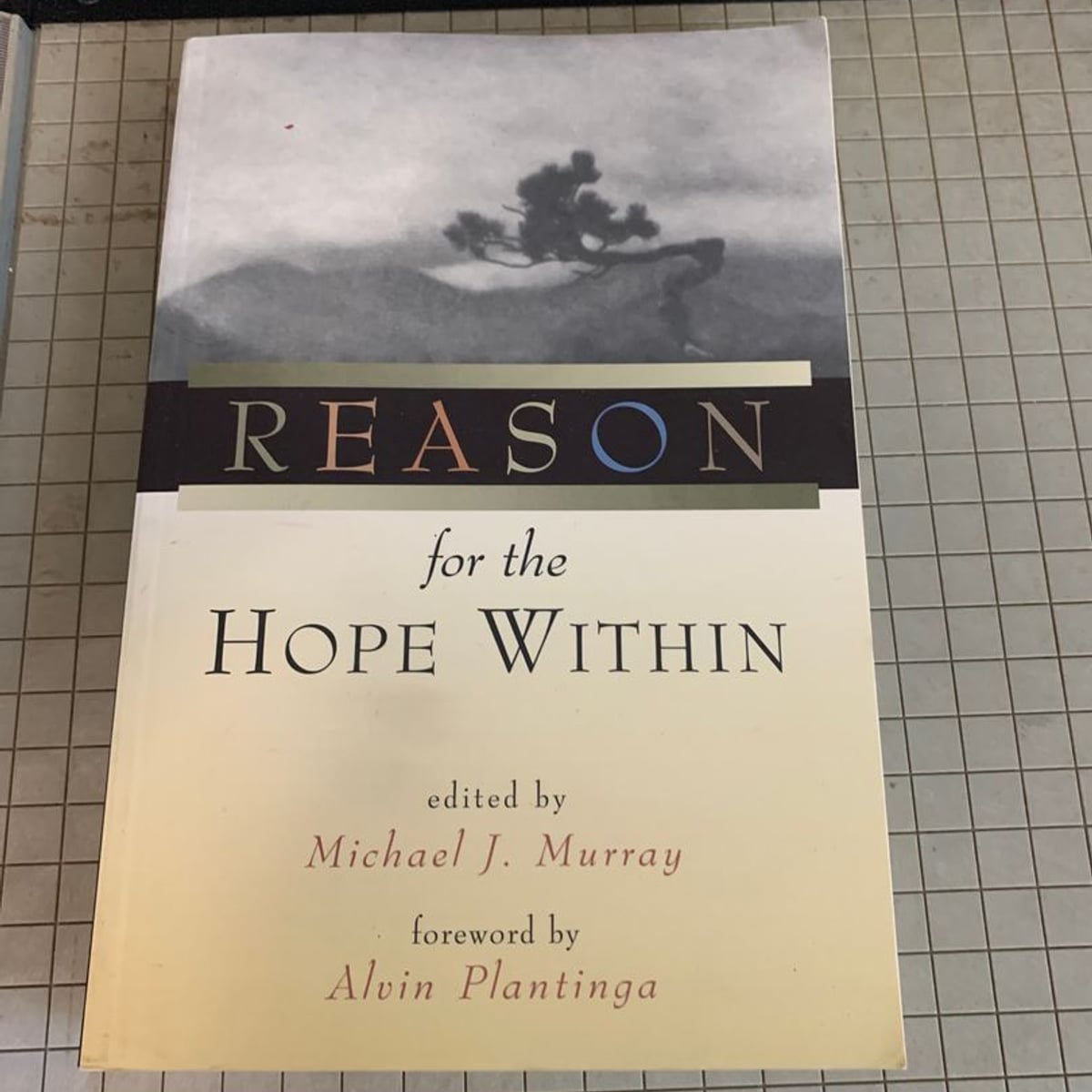Reason for the Hope Within by Michael J. Murray