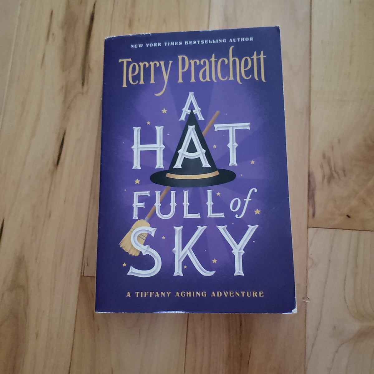 A Hat Full of Sky main image 1