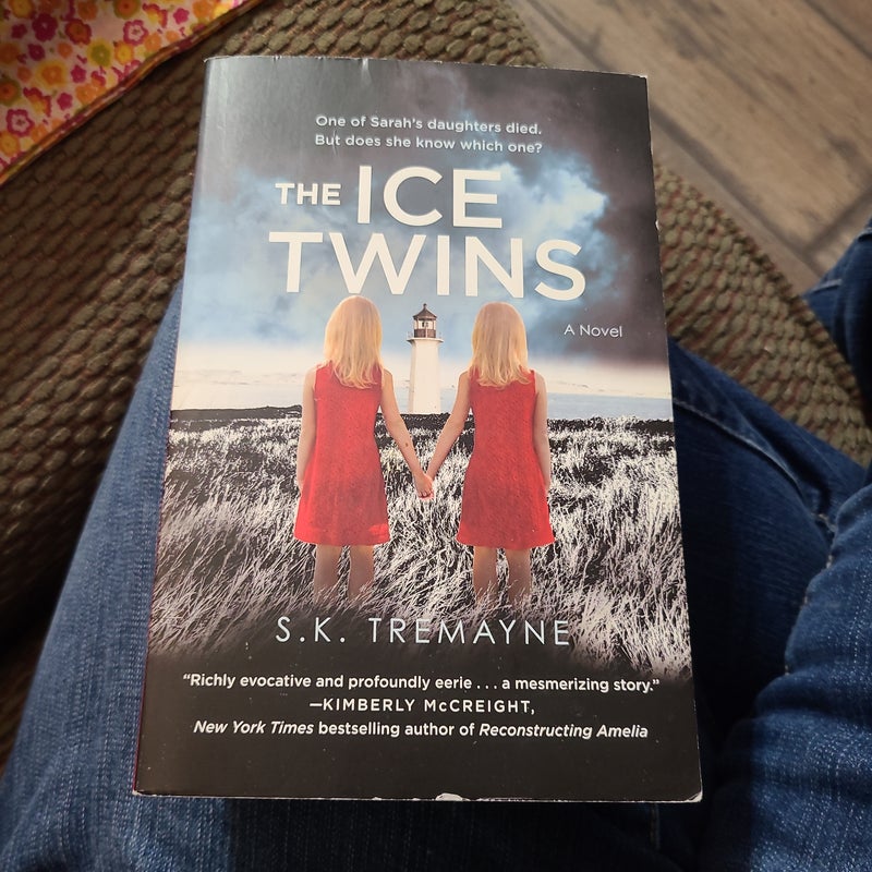 The Ice Twins