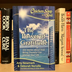 Chicken Soup for the Soul: the Power of Gratitude