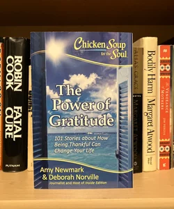 Chicken Soup for the Soul: the Power of Gratitude