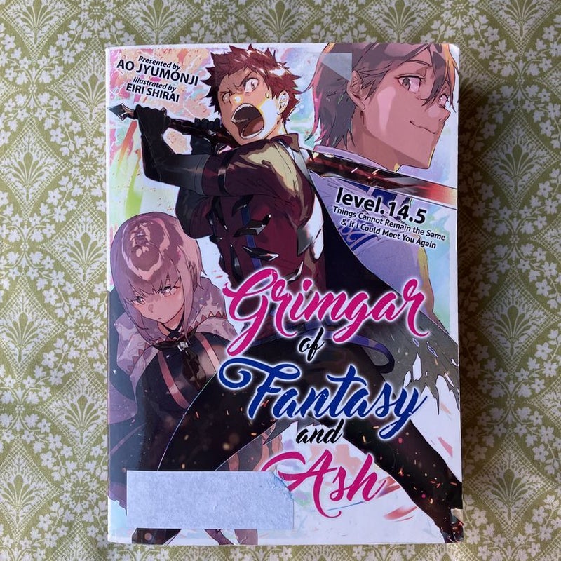 Grimgar of Fantasy and Ash (Light Novel) Vol. 14. 5