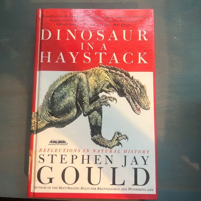 Dinosaur in a Haystack