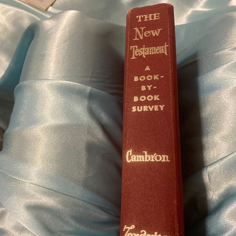 The New Testament A Book-By-Book Survey/Cambron