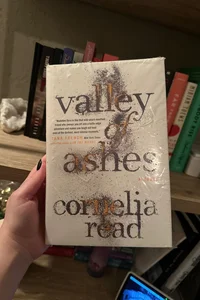 Valley Of Ashes