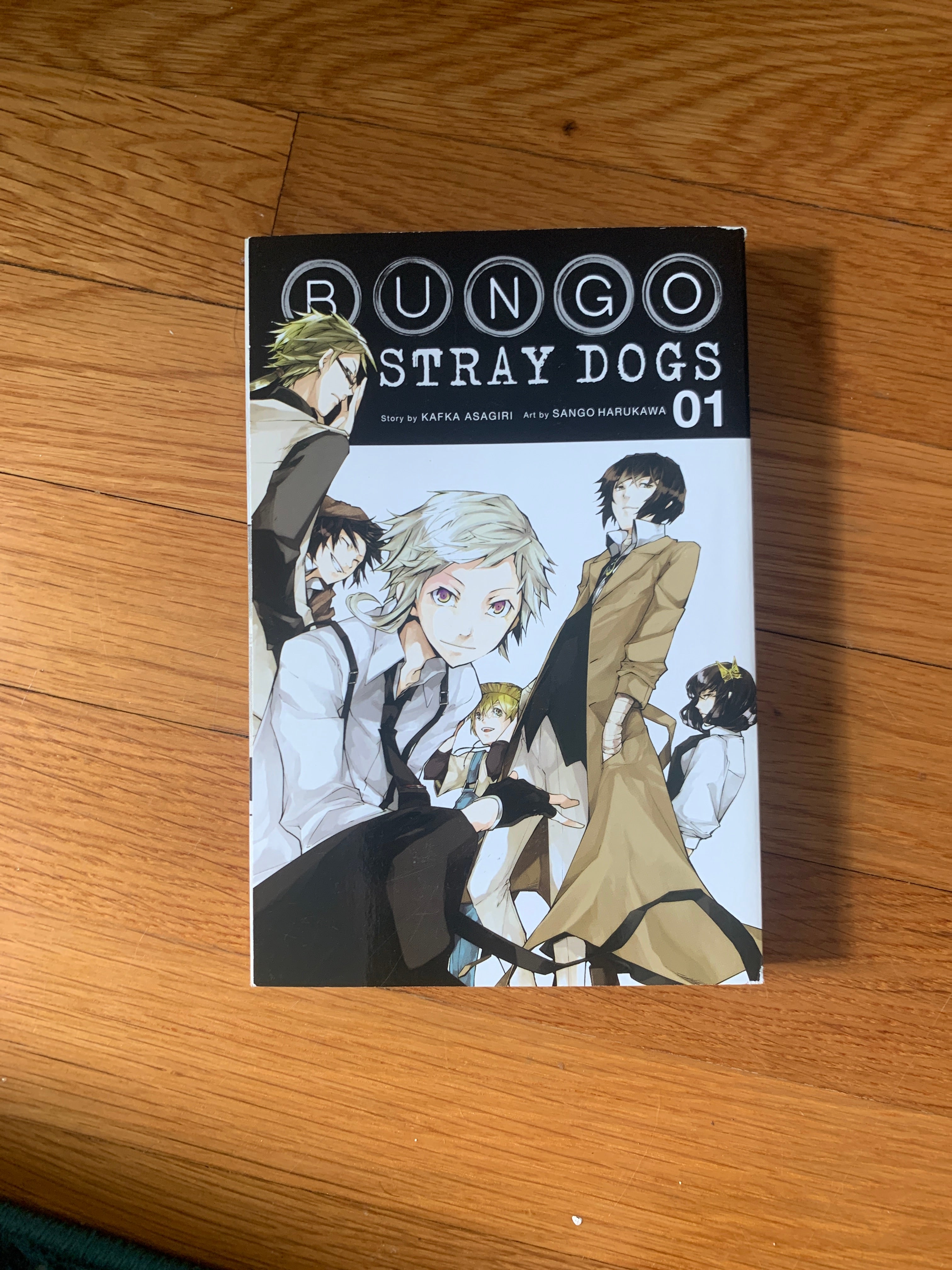 Bungo Stray Dogs, Vol. 1