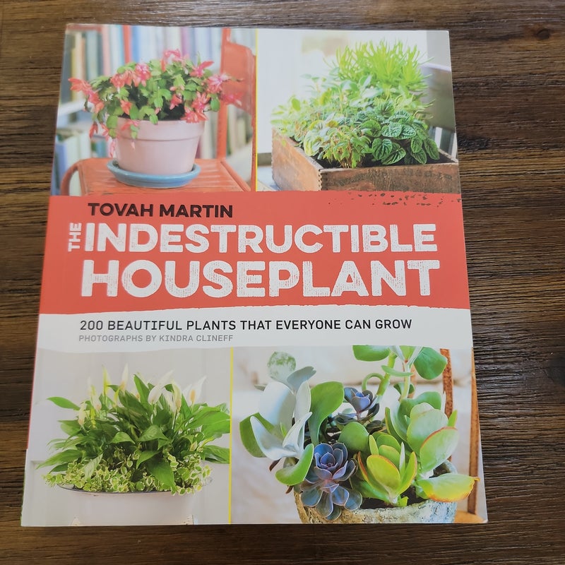 The Indestructible Houseplant