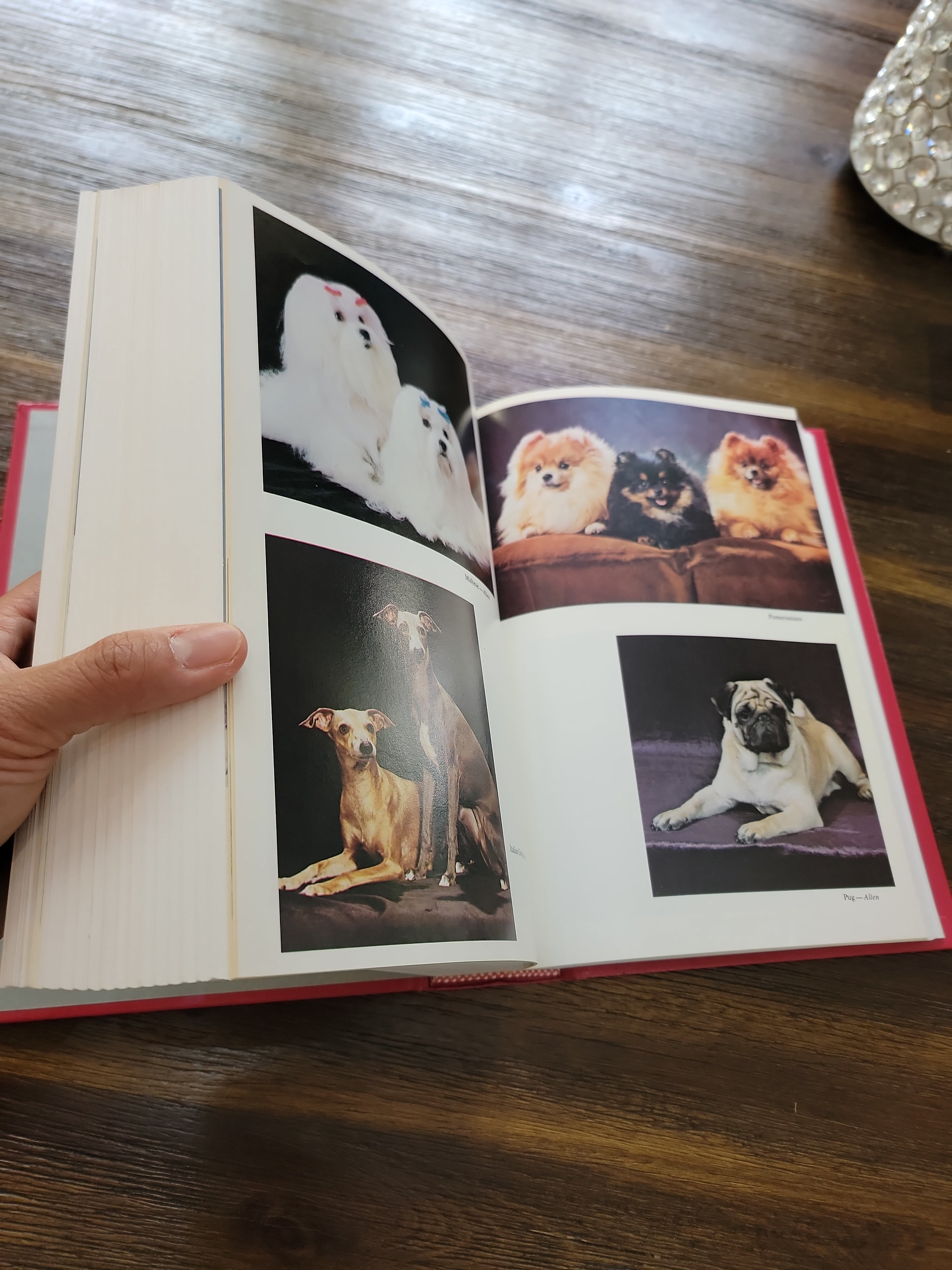 The Complete Dog Book