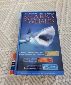 Sharks and Whales