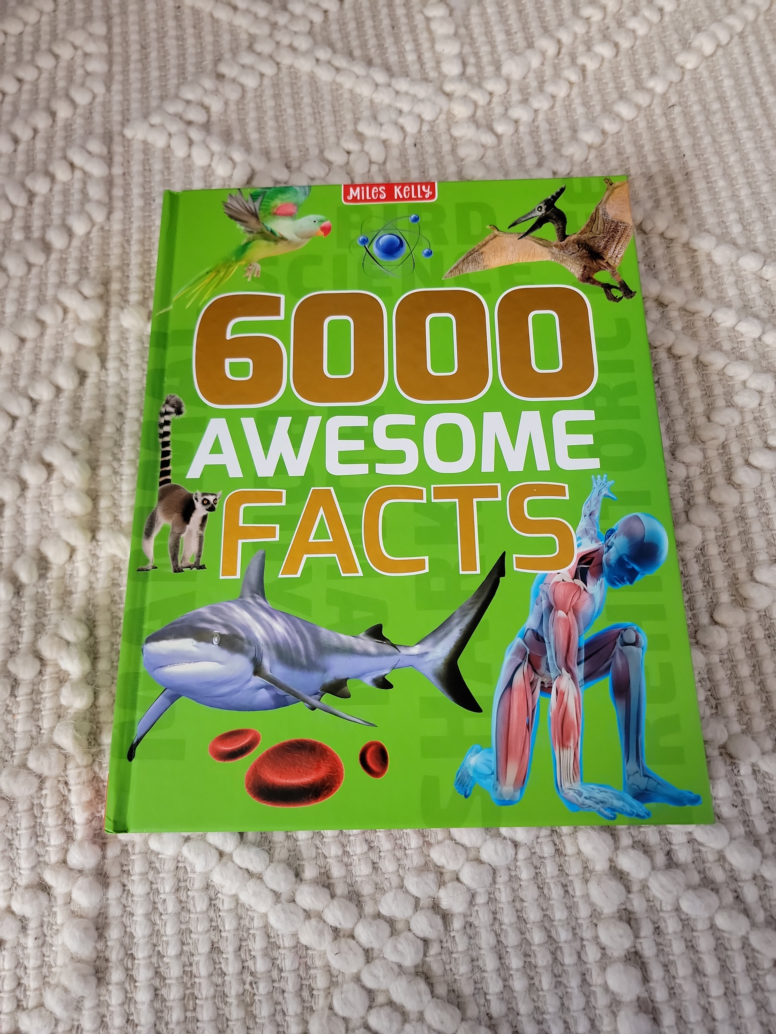 Facts　Miles　by　6000　Hardcover　Pangobooks　Awesome　Kelly,