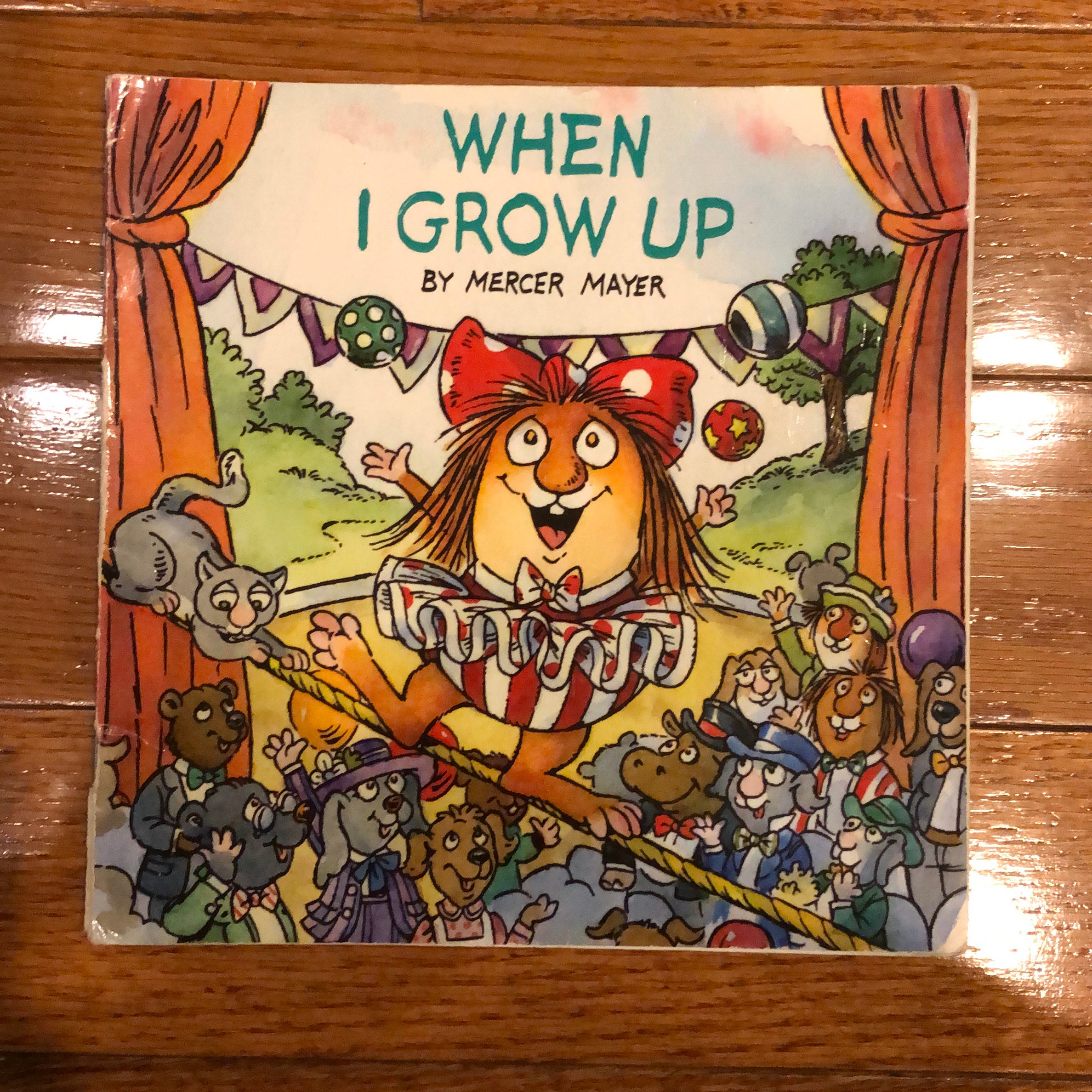 When I Grow up (Little Critter)