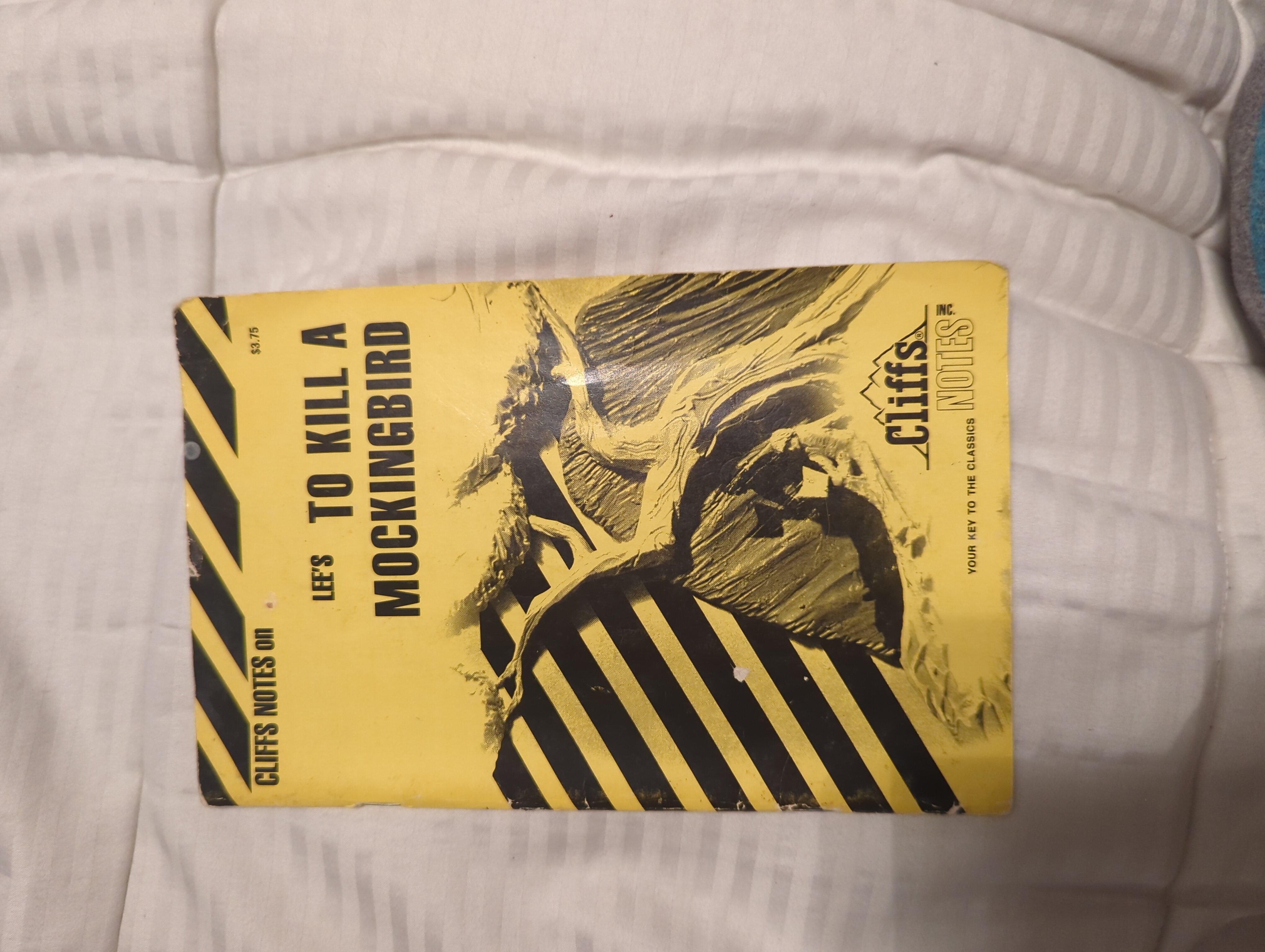 To kill a mockingbird cliff notes by Lee, Paperback | Pangobooks