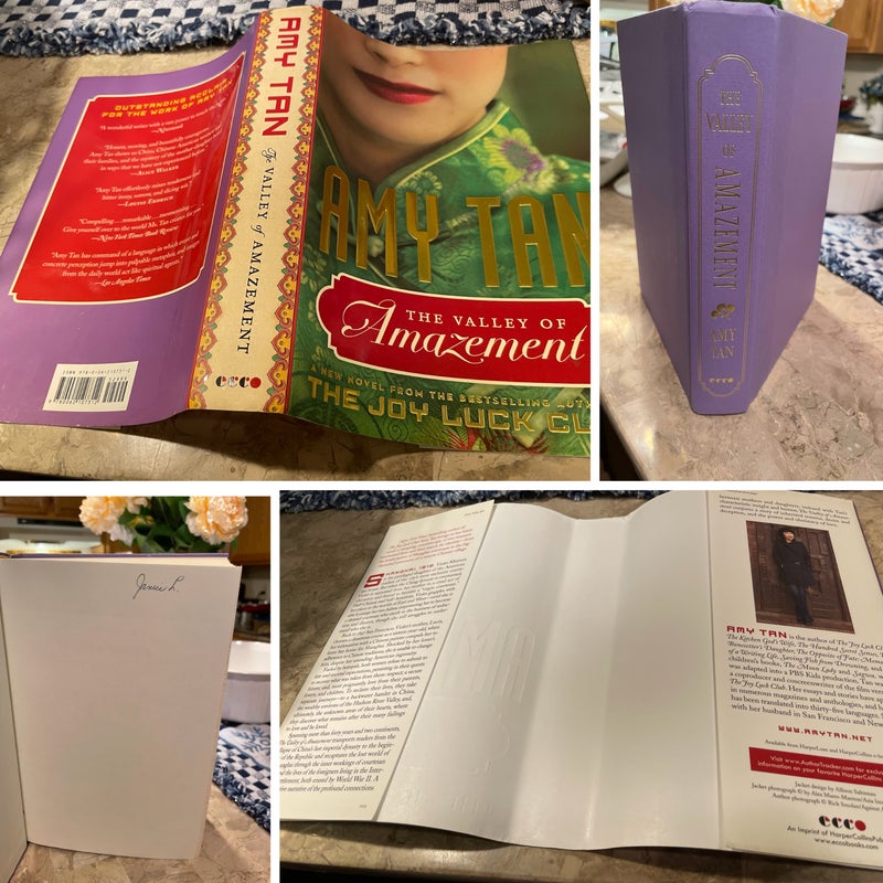 1stEd 1stPrint The Valley of Amazement 