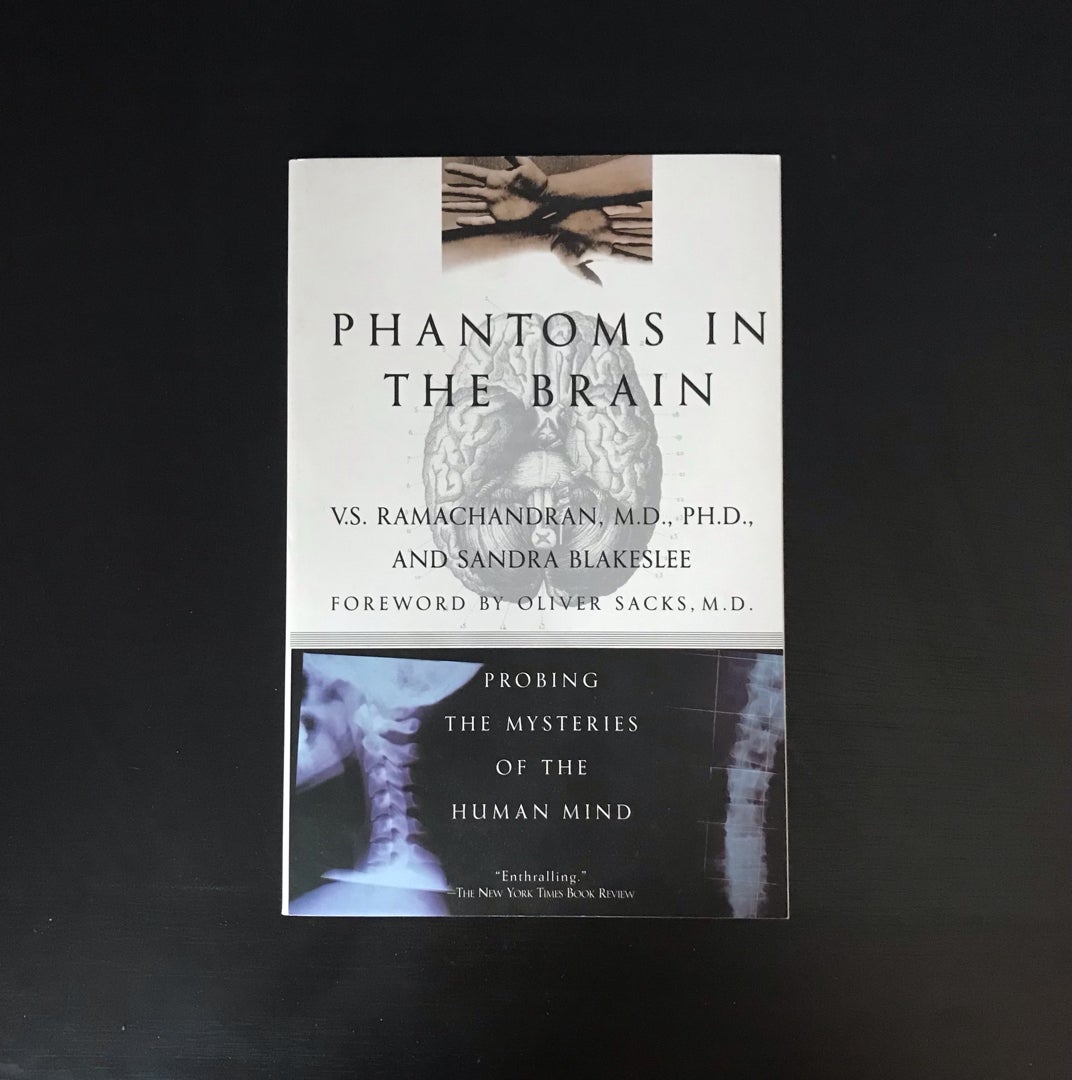 Phantoms in the Brain