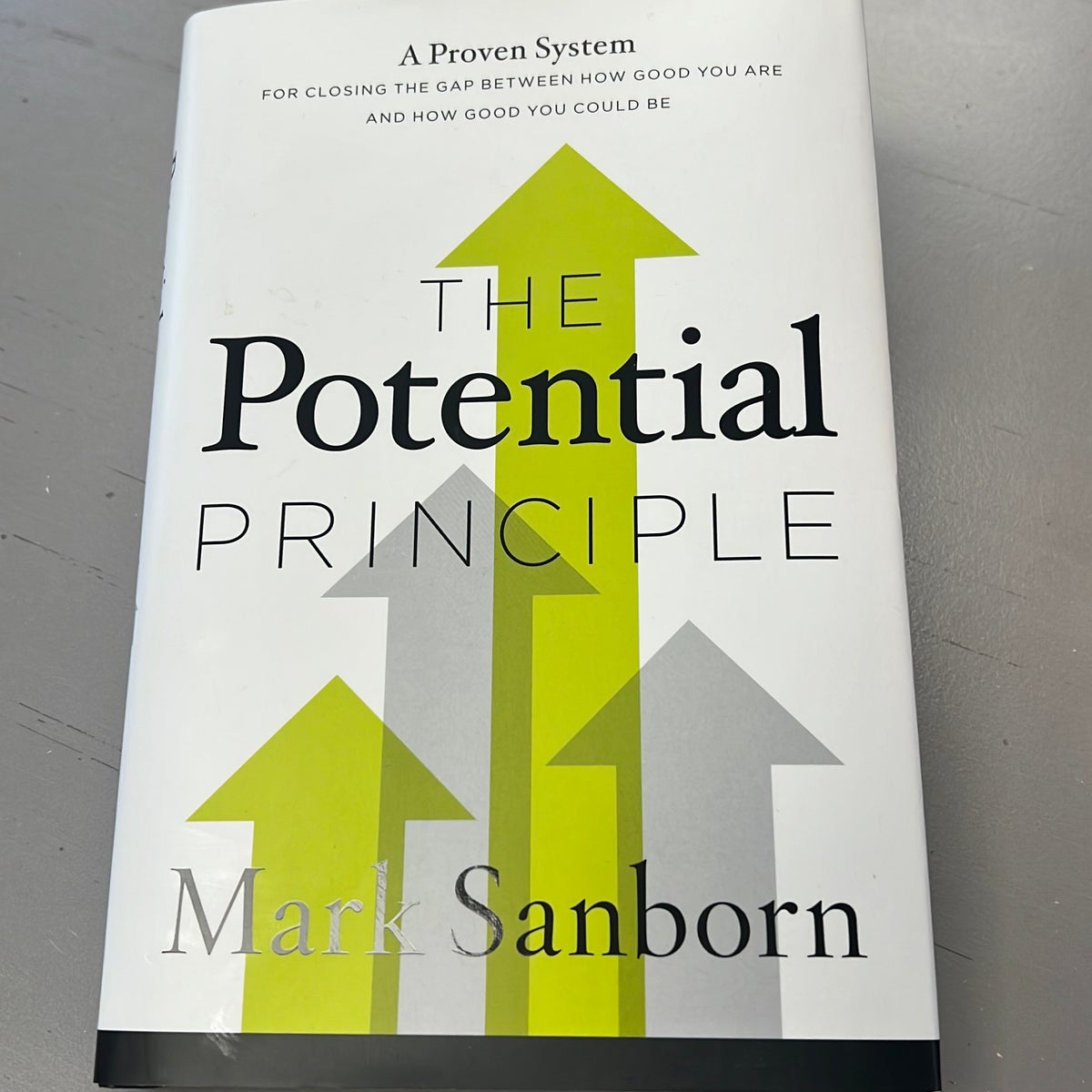 The Potential Principle by Mark Sanborn