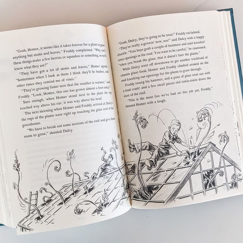 The Complete Adventures of Homer Price