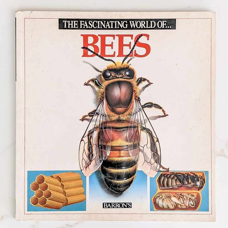 The Fascinating World of Bees