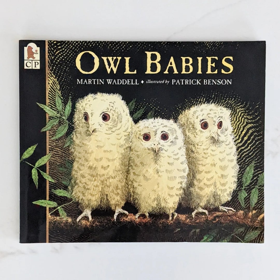 Owl Babies