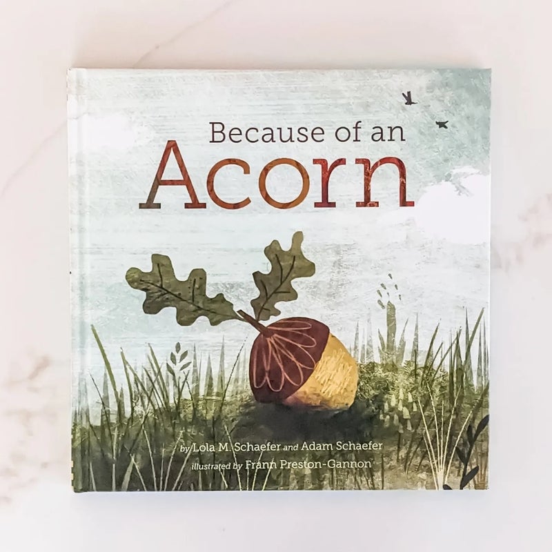 Because of an Acorn