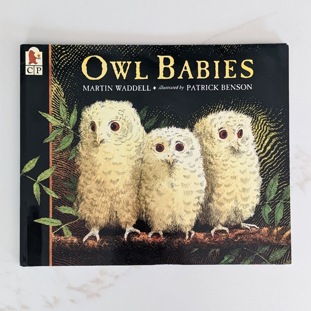 Owl Babies