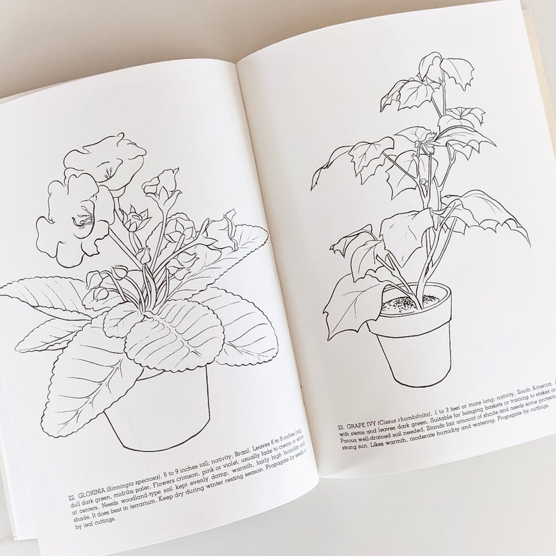 House Plants Coloring Book ©1976