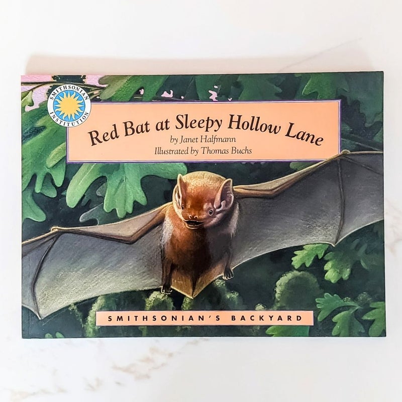 Red Bat at Sleepy Hollow Lane