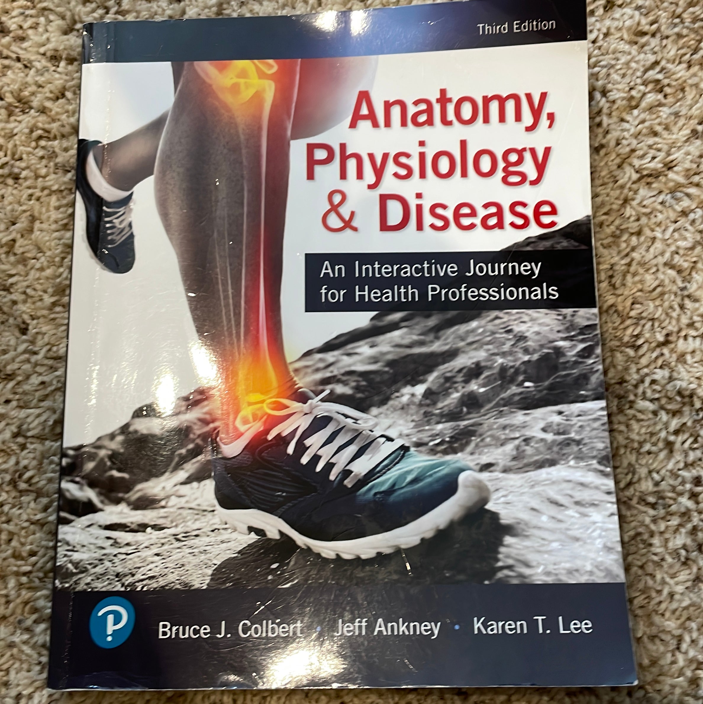 Anatomy, Physiology, and Disease