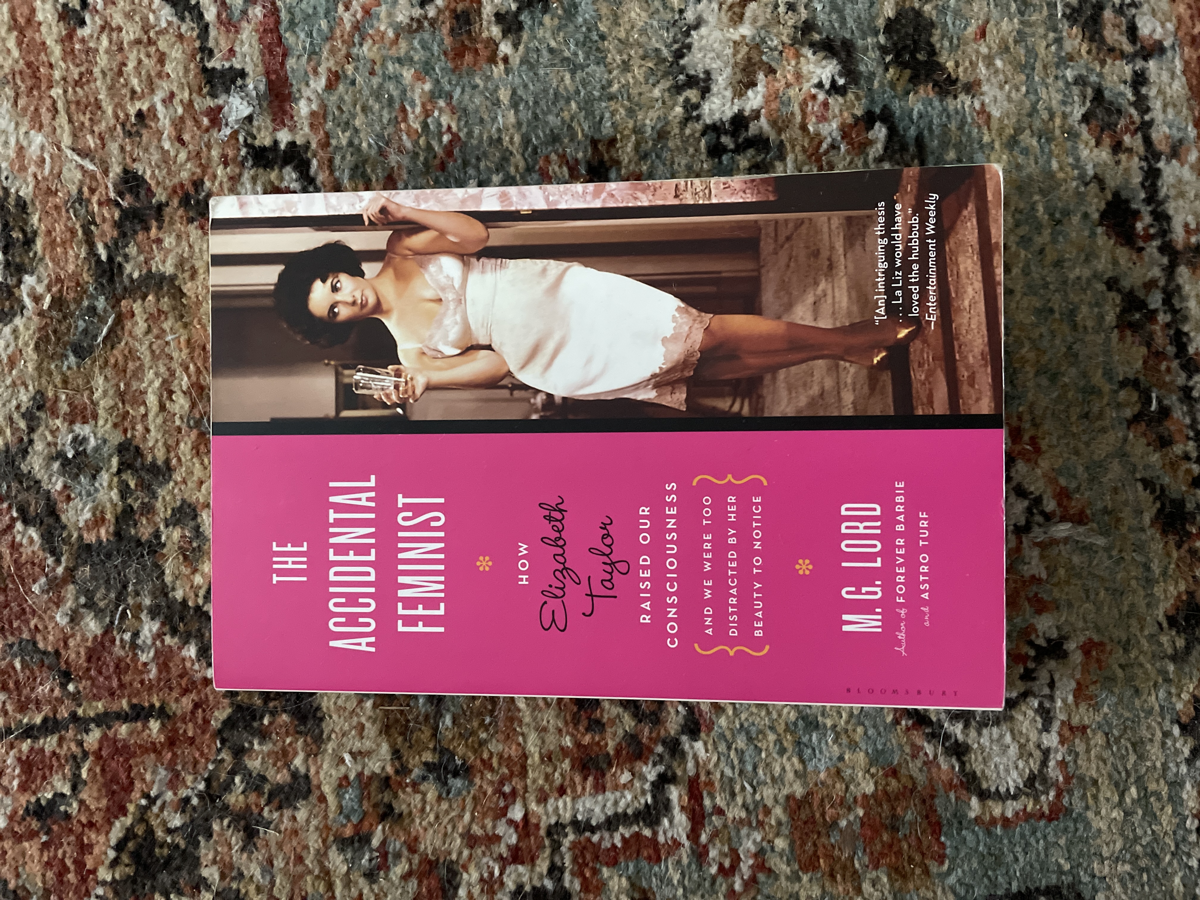 The Accidental Feminist