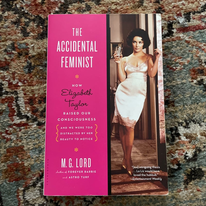 The Accidental Feminist