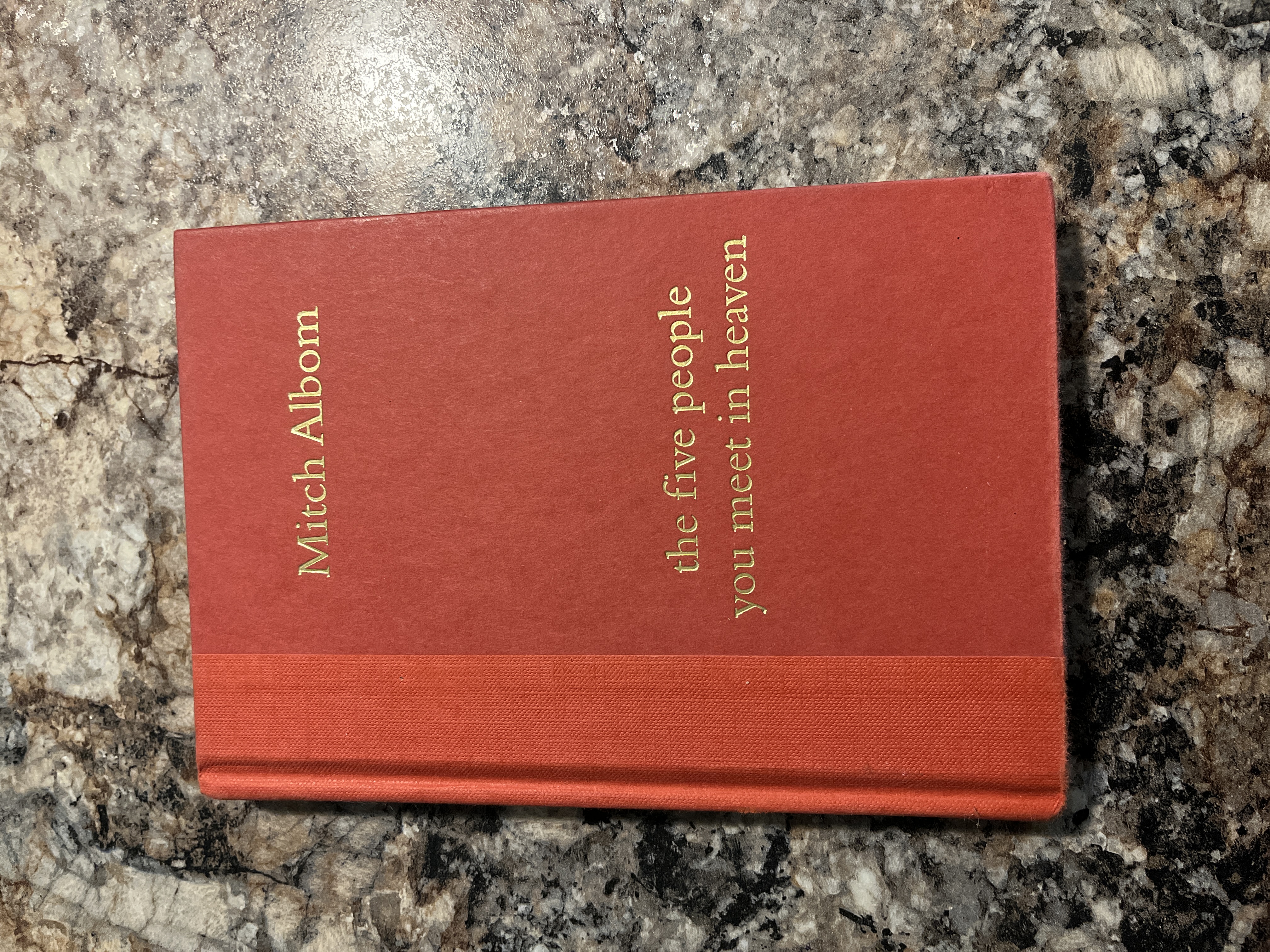 The Five People You Meet in Heaven