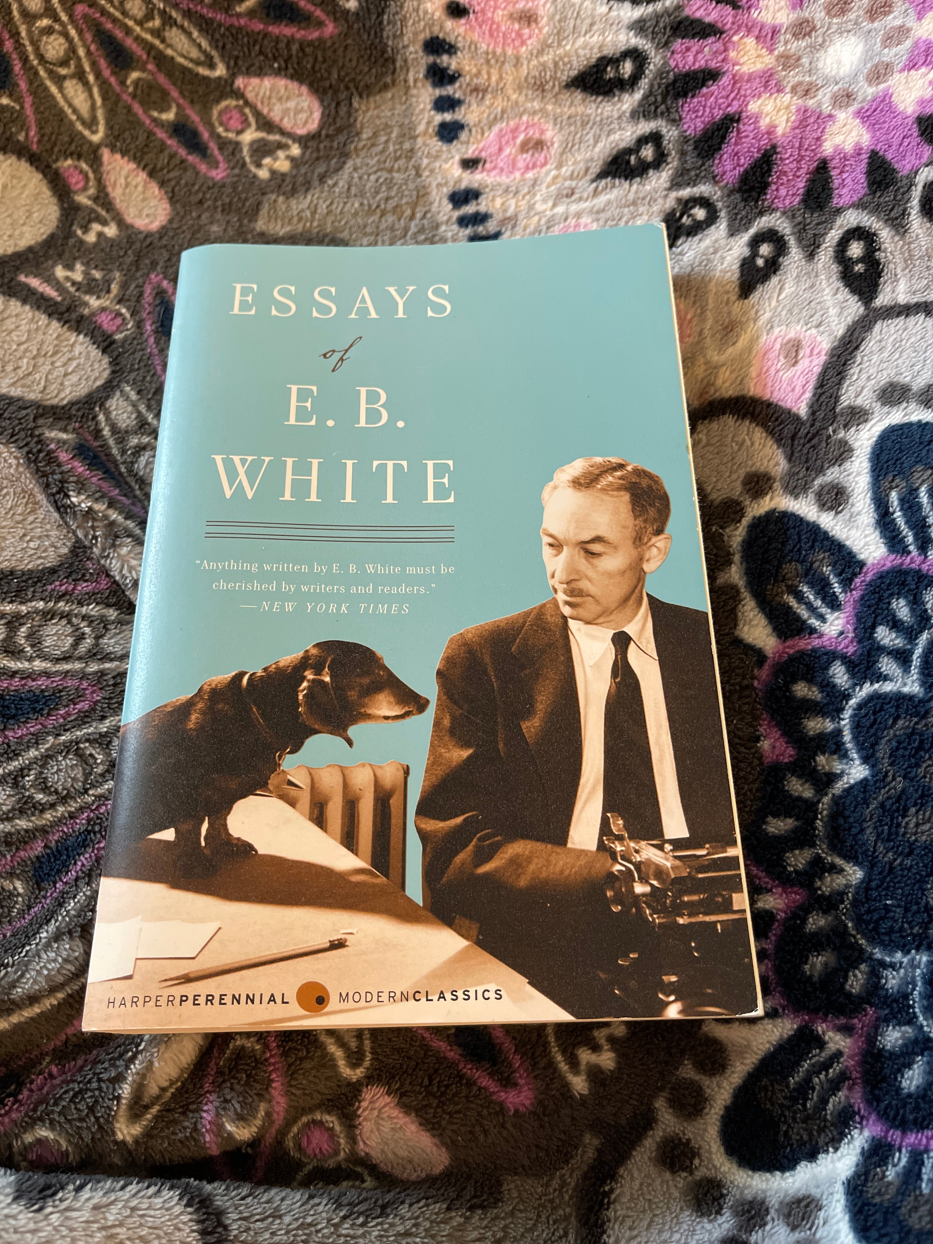 Essays of E. B. White