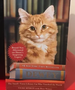 Dewey the Library Cat: a True Story
